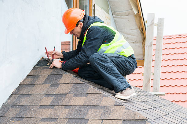 Roof Gutter Cleaning in Wilson, AR